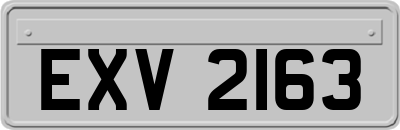 EXV2163