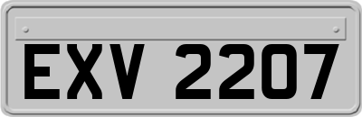EXV2207