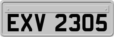 EXV2305