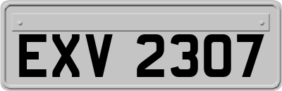 EXV2307