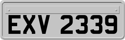 EXV2339