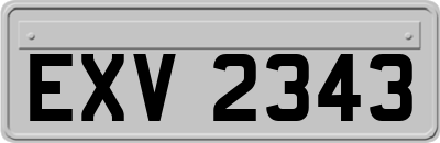 EXV2343