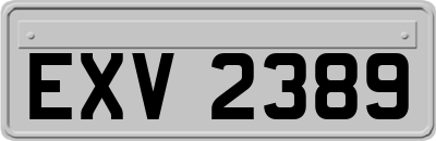 EXV2389