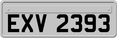 EXV2393