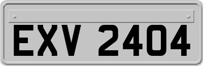 EXV2404