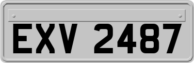 EXV2487