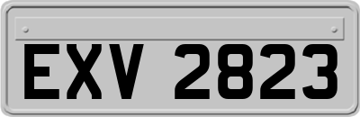 EXV2823