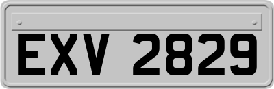 EXV2829