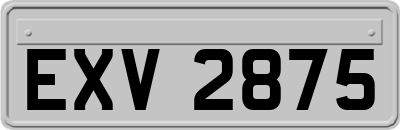EXV2875
