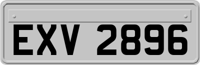 EXV2896