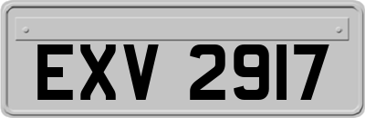 EXV2917