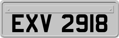 EXV2918