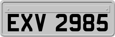 EXV2985
