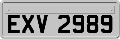 EXV2989