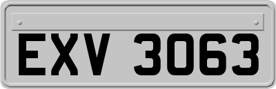 EXV3063