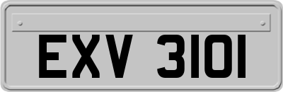 EXV3101