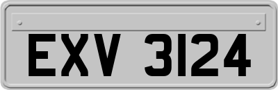 EXV3124
