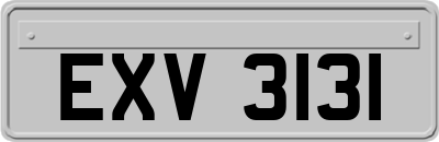 EXV3131
