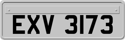 EXV3173