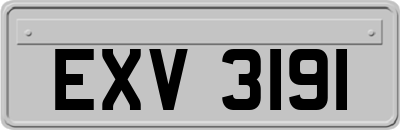 EXV3191