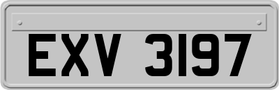 EXV3197