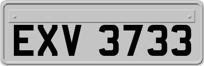 EXV3733