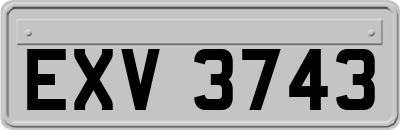EXV3743