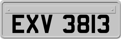 EXV3813