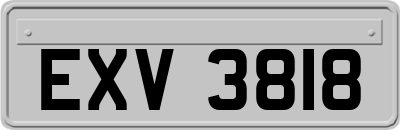 EXV3818