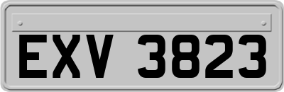 EXV3823