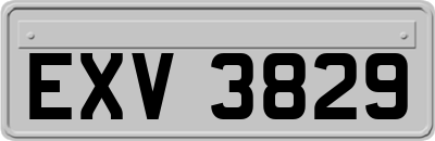 EXV3829