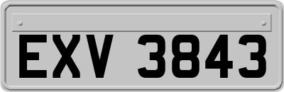 EXV3843