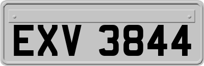 EXV3844