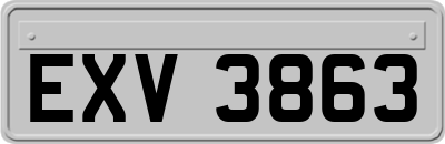 EXV3863