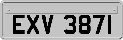 EXV3871