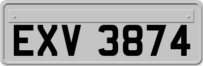EXV3874