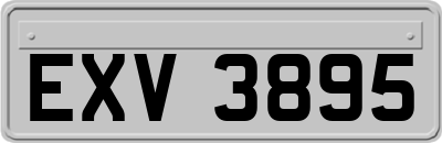 EXV3895