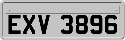 EXV3896