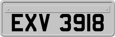 EXV3918