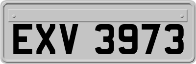 EXV3973