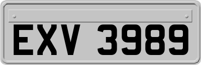 EXV3989