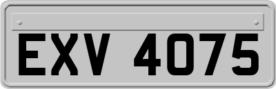 EXV4075