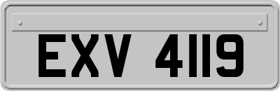 EXV4119