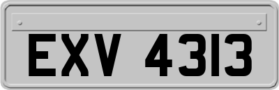 EXV4313