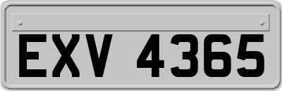 EXV4365