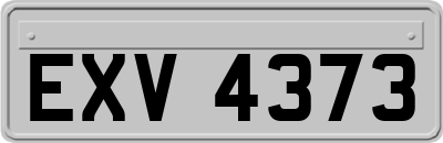 EXV4373