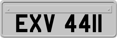 EXV4411