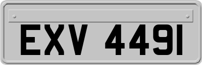 EXV4491