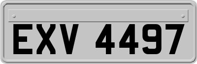 EXV4497