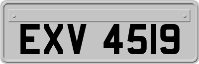 EXV4519